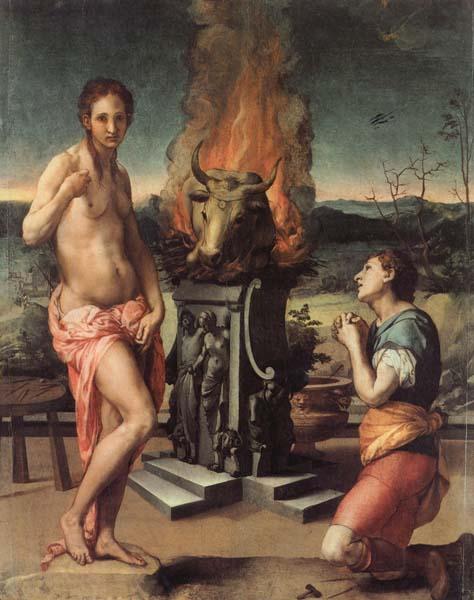 Agnolo Bronzino Pygmalion and Galatea China oil painting art